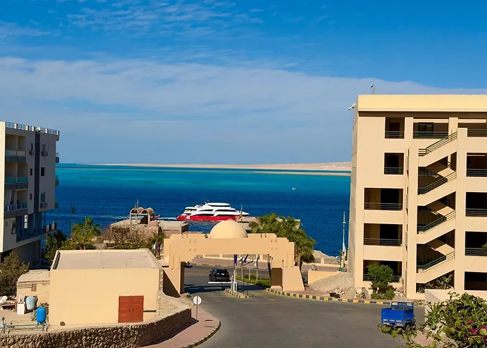 The View *
