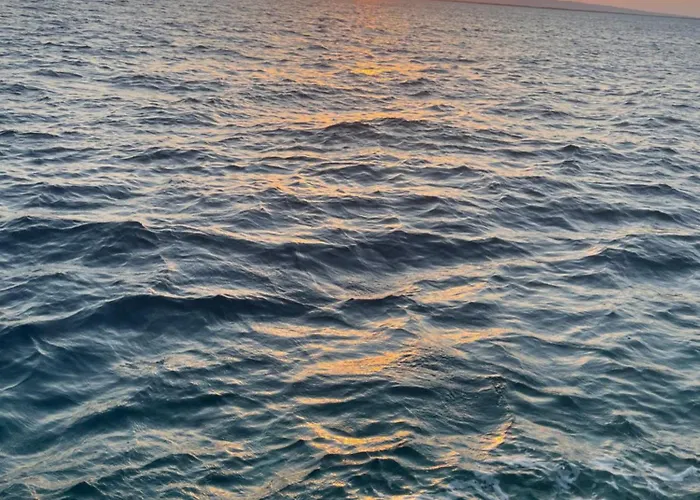 The View